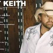 El texto musical I LOVE THIS BAR de TOBY KEITH también está presente en el álbum 35 biggest hits (2008)