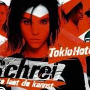 El texto musical RETTE MICH de TOKIO HOTEL también está presente en el álbum Schrei (so laut du kannst) (2006)