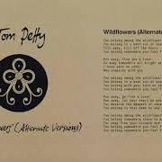 El texto musical IT'S GOOD TO BE KING (ALTERNATE VERSION) de TOM PETTY también está presente en el álbum Finding wildflowers (alternate versions) (2021)