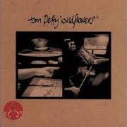 El texto musical LEAVE VIRGINIA ALONE de TOM PETTY también está presente en el álbum Wildflowers & all the rest (2020)