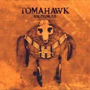 El texto musical JOCKSTRAP de TOMAHAWK también está presente en el álbum Tomahawk (2001)