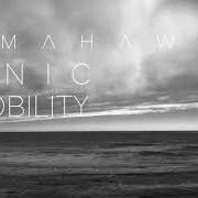 El texto musical FATBACK de TOMAHAWK también está presente en el álbum Tonic immobility (2021)