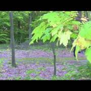 Hinter all diesen fenstern