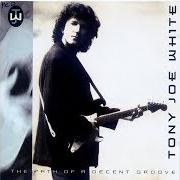 El texto musical TAKIN' THE MIDNIGHT TRAIN de TONY JOE WHITE también está presente en el álbum The best of tony joe white (1993)