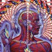 El texto musical LATERALUS de TOOL también está presente en el álbum Lateralus (2001)