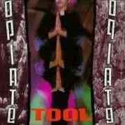 El texto musical THE GAPING LOTUS EXPERIENCE de TOOL también está presente en el álbum Opiate (1992)