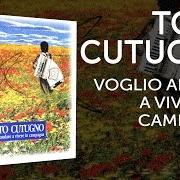 El texto musical VOGLIO ANDARE A VIVERE IN CAMPAGNA de TOTO CUTUGNO también está presente en el álbum Voglio andare a vivere in campagna (1995)