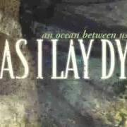 El texto musical I NEVER WANTED de AS I LAY DYING también está presente en el álbum An ocean between us (2007)