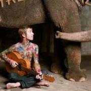 El texto musical THE LIME TREE de TREVOR HALL también está presente en el álbum The elephants door (2007)
