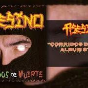 El texto musical CARNICERO de ASESINO también está presente en el álbum Corridos de muerte (2002)