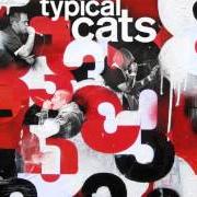 El texto musical REFLECTIONS FROM THE PORCH de TYPICAL CATS también está presente en el álbum 3 (2012)