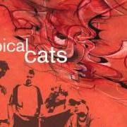 El texto musical INTRO de TYPICAL CATS también está presente en el álbum Typical cats (2001)