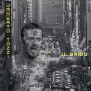 El texto musical MIRACOLO D'AMORE de UMBERTO TOZZI también está presente en el álbum Il grido (1996)