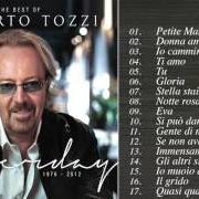 El texto musical IO CAMMINERO' de UMBERTO TOZZI también está presente en el álbum Le mie canzoni (1991)