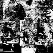 El texto musical CUDDLE BUNNY VS CELTIC VILLAGES de UNDERWORLD también está presente en el álbum Oblivion with bells (2007)