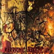 El texto musical DIVINE EMPORER de VOMITORIAL CORPULENCE también está presente en el álbum Karrionic hacktician (1995)