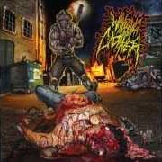 El texto musical INSULT TO INJURY de WAKING THE CADAVER también está presente en el álbum Real-life death (2013)