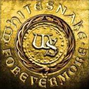 El texto musical DOGS IN THE STREET de WHITESNAKE también está presente en el álbum Forevermore (2011)