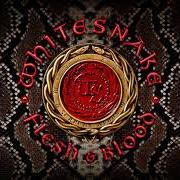 El texto musical GOOD TO SEE YOU AGAIN de WHITESNAKE también está presente en el álbum Flesh & blood (2019)