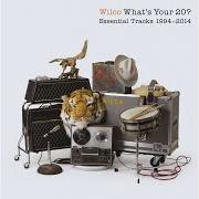 El texto musical THE LATE GREATS de WILCO también está presente en el álbum What's your 20? essential tracks (2014)