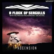 El texto musical WISHING (IF I HAD A PHOTOGRAPH OF YOU) de A FLOCK OF SEAGULLS también está presente en el álbum Ascension (2018)
