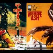El texto musical DON'T CRY de WISHBONE ASH también está presente en el álbum Raw to the bone (1985)