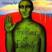 El texto musical NORTHERN LIGHTS de WISHBONE ASH también está presente en el álbum Power of eternity (2014)