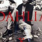 El texto musical WHITE POEM I de X JAPAN también está presente en el álbum Dahlia (1996)