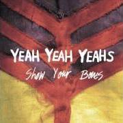 El texto musical DUDLEY de YEAH YEAH YEAHS también está presente en el álbum Show your bones (2006)
