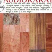El texto musical WHO BRINGS A KNIFE TO A GUN FIGHT? de AUDIO KARATE también está presente en el álbum Lady melody (2004)