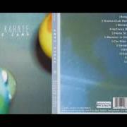 El texto musical T-SAN de AUDIO KARATE también está presente en el álbum Space camp (2002)