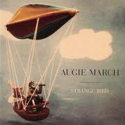 El texto musical SONG IN THE KEY OF CHANCE de AUGIE MARCH también está presente en el álbum Strange bird (2004)