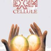 El texto musical ISOLA RIBELLE de EXEM también está presente en el álbum Isola ribelle (2008)