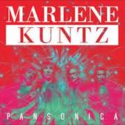 El texto musical RUGGINE de MARLENE KUNTZ también está presente en el álbum Pansonica (2014)