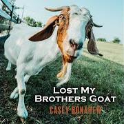 El texto musical BEER TASTES GOOD (LIVE ACOUSTIC) FEAT. CHRIS COLSTON de CASEY DONAHEW BAND también está presente en el álbum Lost my brothers goat (2020)