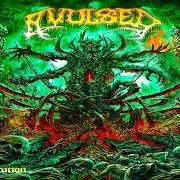El texto musical MORGUE DEFILEMENT de AVULSED también está presente en el álbum Dead flesh compilation (1993)