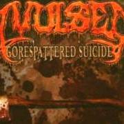 El texto musical LET ME TASTE YOUR FLESH de AVULSED también está presente en el álbum Gorespattered suicide (2005)