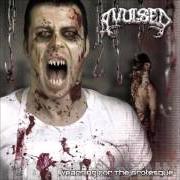 El texto musical I FEEL GOOD... EATING HUMAN FLESH de AVULSED también está presente en el álbum Yearning for the grotesque (2003)