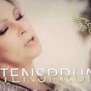 El texto musical NICHT NUR EINE NACHT de CLAUDIA JUNG también está presente en el álbum Seitensprung (2015)