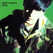 El texto musical THE CRYING SCENE de AZTEC CAMERA también está presente en el álbum Stray (1990)