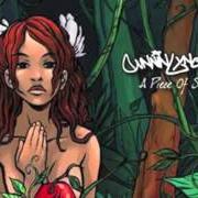 El texto musical BEAUTIFUL GIRL de CUNNINLYNGUISTS también está presente en el álbum A piece of strange (2006)