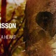 El texto musical GLASGOW BOOGIE de BENNY ANDERSSON BAND también está presente en el álbum Story of a heart (2009)