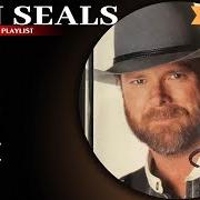 The best of dan seals