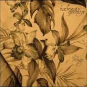 El texto musical KILO RILEY de BACKSEAT GOODBYE también está presente en el álbum The wonder [ep] (2010)