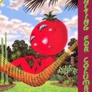 El texto musical FOOL YOURSELF de LITTLE FEAT también está presente en el álbum Dixie chicken (1973)