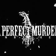 El texto musical NO PULSE IN MY VEINS de A PERFECT MURDER también está presente en el álbum Unbroken (2004)