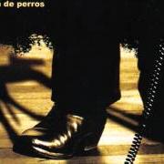 El texto musical MARIBEL de LOS BUNKERS también está presente en el álbum Vida de perros (2005)