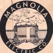 El texto musical THE DARK DON'T HIDE IT de MAGNOLIA ELECTRIC CO. también está presente en el álbum What comes after the blues (2005)