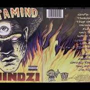 El texto musical PAY ME (MILLION DOLLAR DREAMS) de MASTAMIND también está presente en el álbum Themindzi (2000)