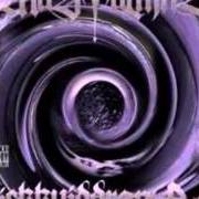 El texto musical BITCHESHATE de MASTAMIND también está presente en el álbum Lickkuiddrano (1995)